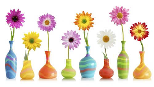Daisy flowers in vases